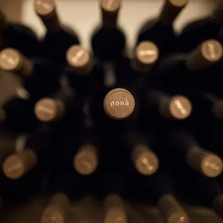 Weingut Donà Bauernhof